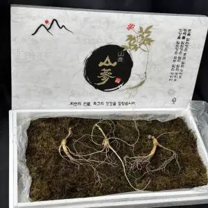 산양삼 20년산 이상 선물용 / 5뿌리+가족삼3뿌리+엑기스1포