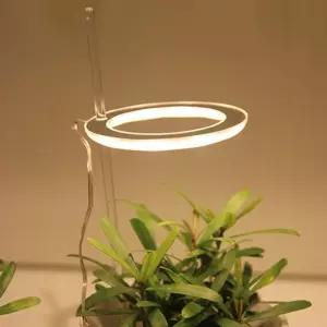 인테리어등 자연광 꾸미기 무드등5W LED램프 LED조명 컬러 250W LED 스마트 은하수전구 램프형