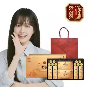[한삼인][농협홍삼] 한삼인 기력보감 선물세트 2세트+쇼핑백[35905548]