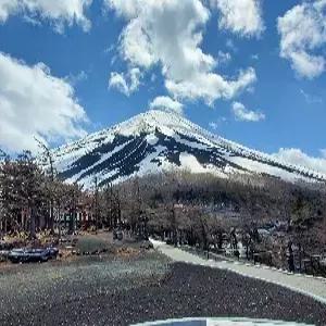 [출발확정] 도쿄/하코네/이즈/후지산 4일 #후지산절경 # 이즈파노라마파크 #도쿄핵심관광 #시원한온천힐링 #청량감가득