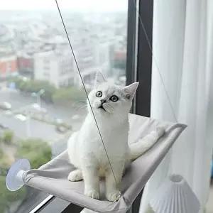 [골드스마일]고양이 창문 해먹 고양이 흡착식 해먹 유리창 걸이형 고양이캣 침대