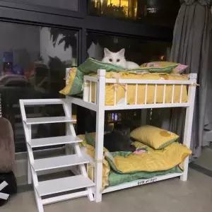 고양이2층침대 대형 특대형 강아지침대 반려견 쇼파 원목 반려묘