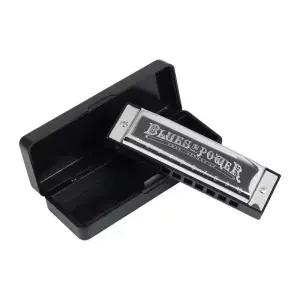 Diatonic Blues Harmonica 12 키 사용 가능 입 오르간 홀 20 톤 Harp with Case for Student Teacher Gift