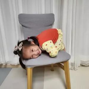 식탁의자 리폼 천갈이 커버 연그레이 (WA3628E)