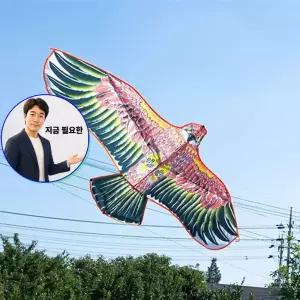 지금 필요한 독수리연날리기 얼레