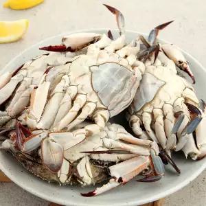 [오초록] 3대가 이어온 연평도 봄 암꽃게(알배기) 1kg / 4∼5미 / 급냉