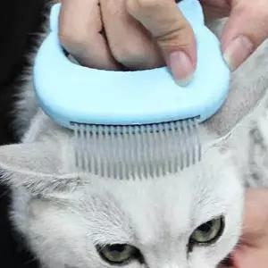 반려묘 털 제거 빗 실리콘 브러시 마사지 그루밍 도구 고양이 강아지 애완동물