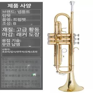 트럼펫 소형 트럼본 B플랫 입문용 연주 교육용 학교 교회 악기