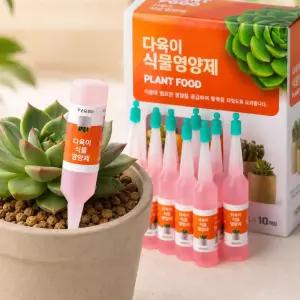 심플 동양란 서양란 다육이 고급 식물영양제 앰플 40p SET