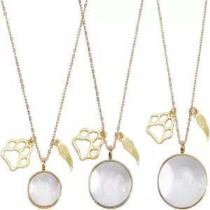 DELORIGIN 3PCS 애완동물 털 기념 목걸이 스테인리스 스틸 모피 재 보관 투명 유리 로켓 및 날개와 발