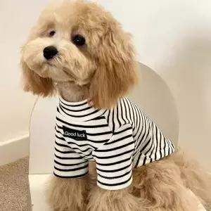 가을 겨울 애완견 보온 셔츠 소형견용 옷 말티즈 비숑 요키 테디 슈나우저 줄무늬 따뜻한 스웨터