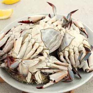 [NS홈쇼핑][오초록] 3대가 이어온 연평도 봄 암꽃게(알배기) 1kg / 4~5미 / 급냉..[35088425]