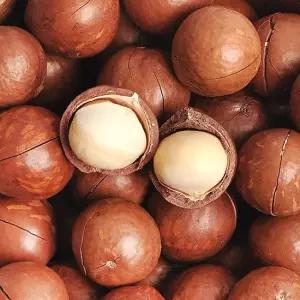 푸르젠 까먹는 통 마카다미아 250g