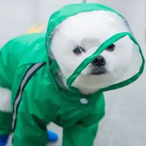 초록 공룡 애견 우의 강아지비옷 ST100261 반려견 애완동물 강아지우비 고양이 반려묘 후드