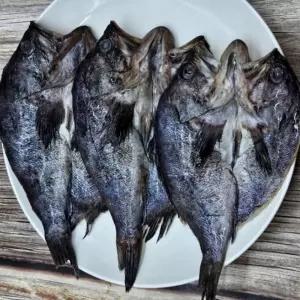 쫀득한 반건조 손질 우럭 6미 냉동 찌개 구이용 생선