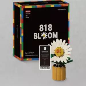 옥스포드 피스마이너스원 818 BLOOM
