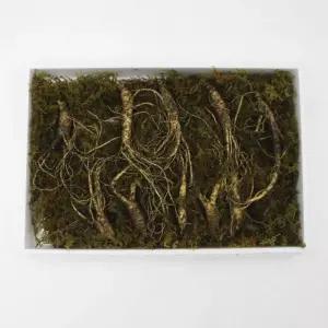 딜로그? 건강용 산양삼 5-6년산 장뇌삼 50g