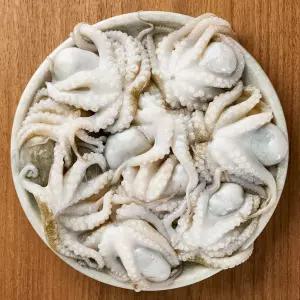 자연산 주꾸미 500g 숙회 볶음용 쭈꾸미 냉동