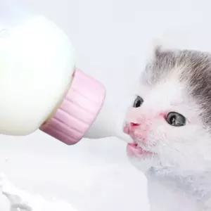 새끼 강아지 애기 고양이 우유병 젖병 세트 80-100ml xeq61DZA