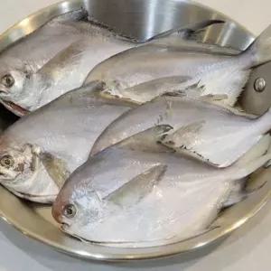 학교 흰살생선 손질 생선 냉동생선 병어 10마리 손질생선 수앤서21