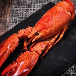 왕왕특대(4XL) 자숙 점보 랍스터(바다가재) 1미 750~1.05kg ~ 2미 캐나다직수입랍스타
