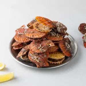 SB 산지직송 꽉찬 속살 국내산 통영 비단가리비 3kg