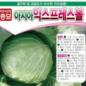 양배추씨앗 익스프레스볼 500립 종자