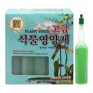 화분 식물 F 제 난 서양란 화초 동양란 FOOD 고급 NT 관엽