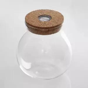 오너클랜 마리모 키우기 LED 유리병 꾸미기 코르크병 마리모키우기 마리모병 마리모어항
