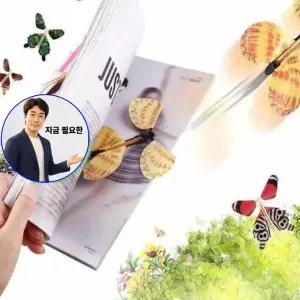 지금 필요한 10ea 초딩 행글라이더 동력나비 장난감 고무줄비행기 실험