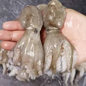 [장보리]서해안 급냉 주꾸미 쭈꾸미 1kg