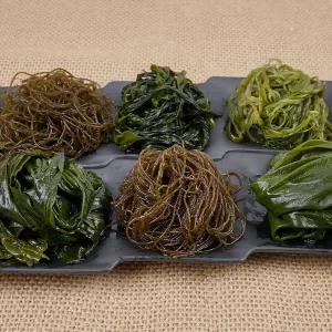 백송식품 국산 염장 2KG (미역줄기/미역귀/꼬시래기/톳/해초)