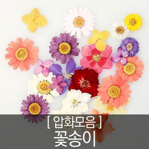 압화꽃모음 - 꽃송이 모음전