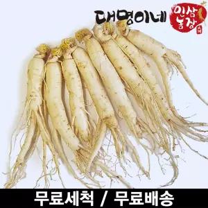 인삼수삼 오쿠1회분 원삼믹서 세척 8뿌리내외 250g