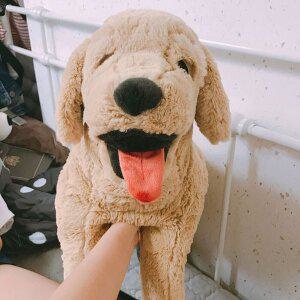 [이케아] GOSIG GOLDEN 고시그 골덴 강아지인형 대형/봉제인형/애착인형/골든리트리버/장난감