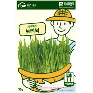 아시아종묘 씨앗 새싹 보리싹 30g
