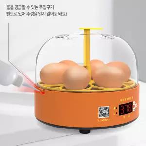 계란 유정란 병아리 미니 부화기 6구 자동회전 병아리키우기