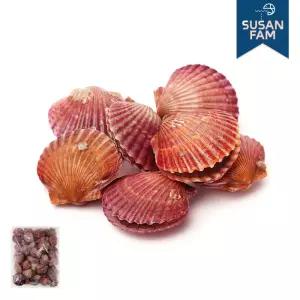 국산 냉동 홍가리비 2kg 세척 조개구이 구이 찜