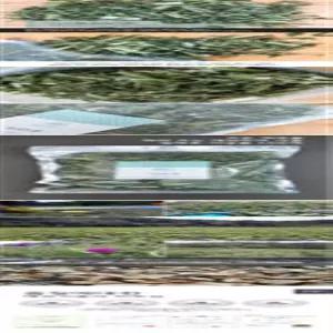익모초 건초 200g