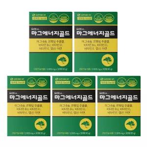 유한메디카 마그에너지골드 마그네슘 350mg 손 발 저림 혈행개선 근육통 영양제 5개 30정 선물세트 친정 부
