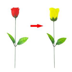 변색 장미 빨간색에서 노란색으로 마술 장미꽃 트릭 발렌타인데이 색깔