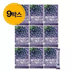 베리앤하우스 블루베리 9박스