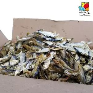 (SM)아침미소 디포리 1.5kg 중품 남해멸치 건멸치 통영멸치 디포리 (WA09AAE)