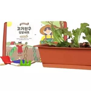 고품질 적겨자 상추 쌈채소 씨앗 흙 화분 베란다텃밭 세트 야채키우기 (WCA112C)