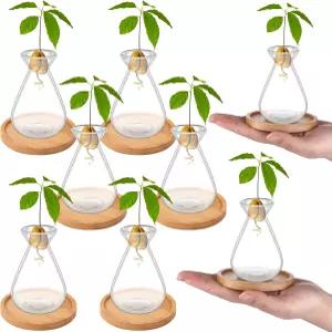 하이베이 6Pcs 대나무 베이스 아보카도 나무 재배 꽃병 키트 씨앗 새싹 스타터 화분 도토리 마늘 덩굴 뿌리