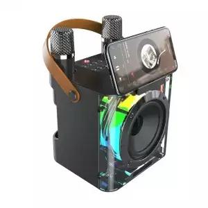 2개의 무선 마이크가 있는 노래방 기계 PA 시스템이 휴대용 스피커 LED 조명 AUX USB TF 카드 홈 파티용