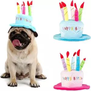 귀여운 강아지 고양이 생일 케이크 모자 반려동물 캡 5가지 색상 양초 디자인 파티 커스텀 액세서리 한