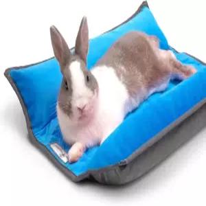토끼 고양이 개 작은 애완동물을 위한 발로 영감을 받은 포옹 강화 침대 17x17인치 양면 패딩 플리스 플롭