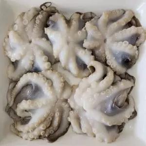 냉동 손질 쭈꾸미 350g