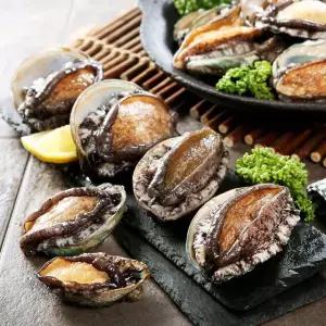 [완도전복] 명품완도전복 13-15마리 / 총 500g